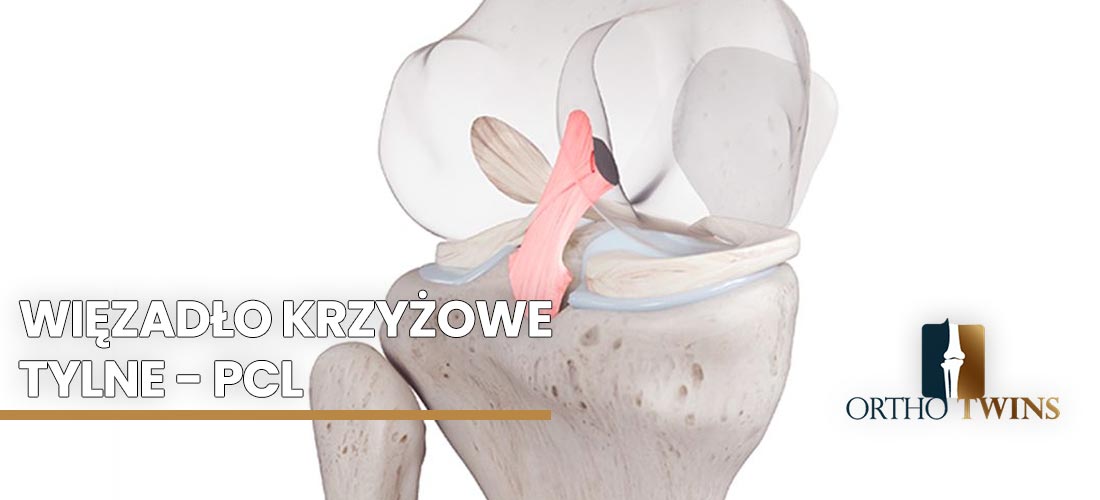 więzadło-krzyżowe-tylne-PCL